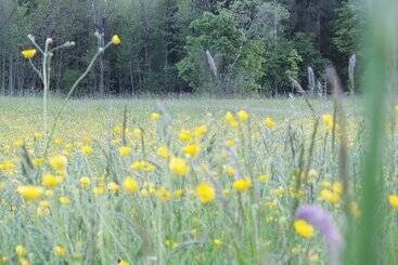 Hotel Rait´ner Wirt