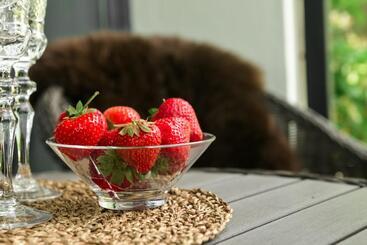 膳宿费 Ingrids Apartments