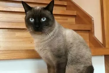 Bed and Breakfast Longfield