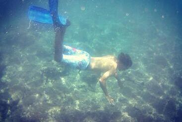 Bed & Breakfast Regina