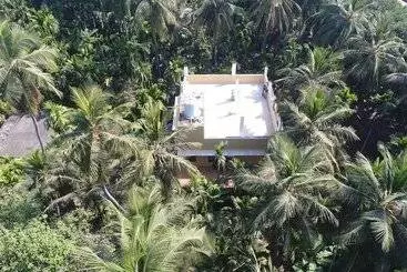 Aamiaismajoitus (B&B) Areca Palms