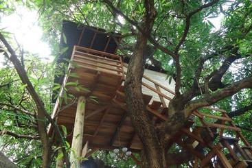 민박 Casa Na árvore