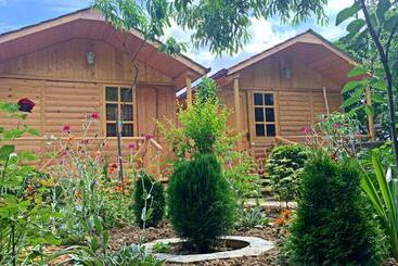 Bed and Breakfast Old City