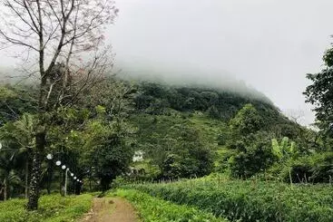 リゾートホテル Bintana Sa Paraiso Binunsaran