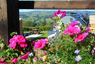 Bed and Breakfast Greendale View