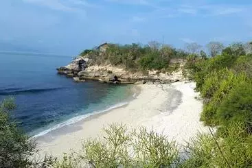 Pension  Suba Homestay