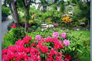 Mcauley Glen Boutique B&b