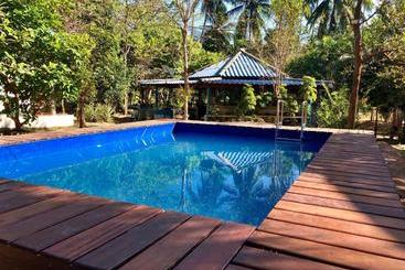 Общежитие The Wild Side