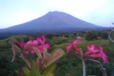 Pansiyon Khrisna Sunrise Homestay Tulamben