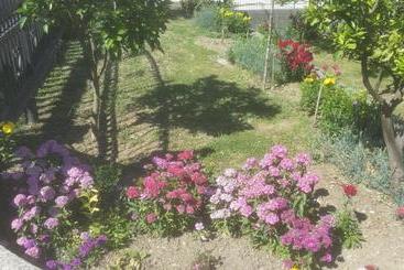 بنسيون Guesthouse Kodre