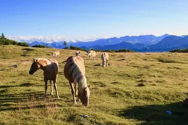Aparthotel Garni Karin