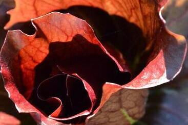 هتل La Locanda Di Valbella