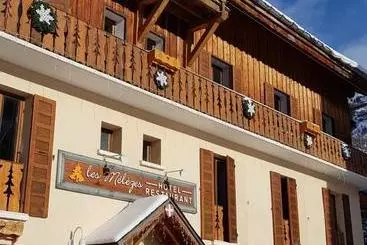 هتل Hôtel Chalet Les Mélèzes