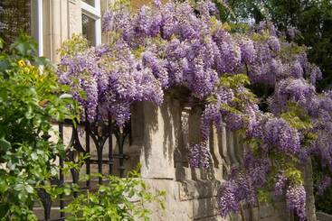 ユースホステル Gastehaus Musmann