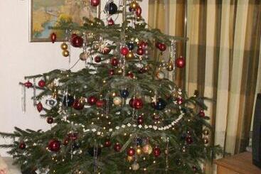 膳宿费 Gästehaus Burg Molbach