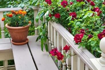 The Lamplighter Bed & Breakfast Of Ludington