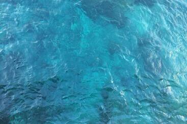 پانسیون Body Balance House