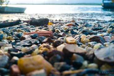 Pension A Pousadinha