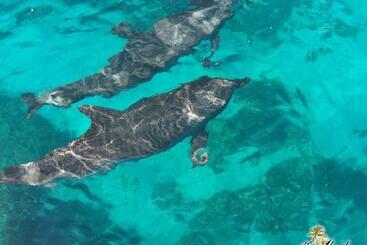 Aparthotel The Meridian At Lighthouse Point