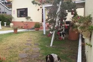 Majatalo Taste Of Heaven