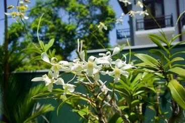 Пансион Villa De White Sambur