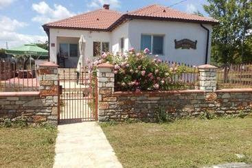 Pensionat Draganov House