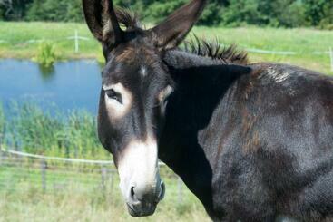 پانسیون La Ferme Du Lignon