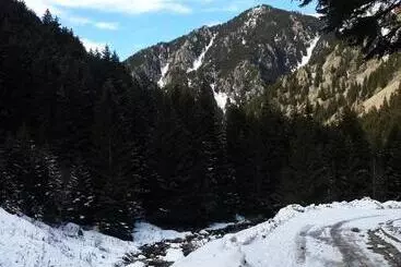 Huoneistohotelli Dagevi Butik Apart