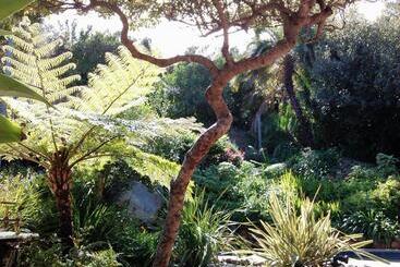 بنسيون Hout Bay Hideaway