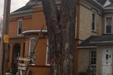 Hostel Riverview Mansion