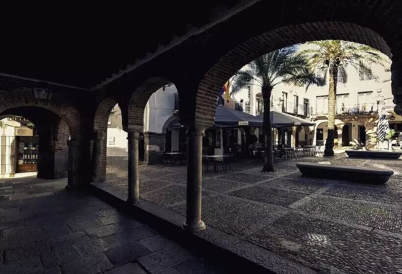 Hotel Las Palmeras By Vivere Stays