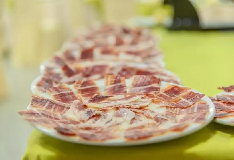 Hotel Oasis Familiar