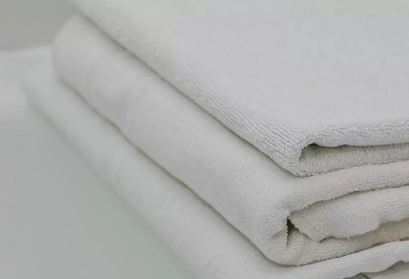 בית מלון כפרי Plaza