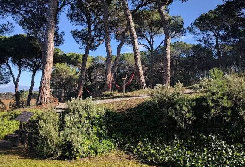 Отель Augusta Barcelona Valles