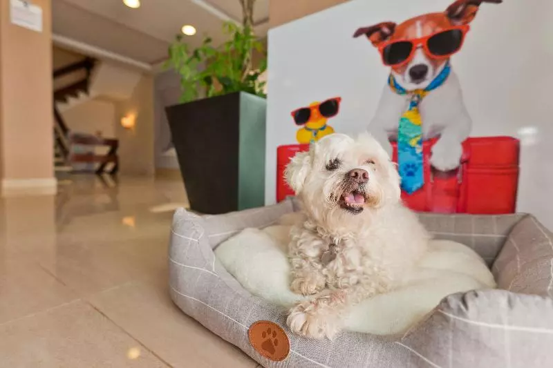 Azuline Hotel Mediterráneo