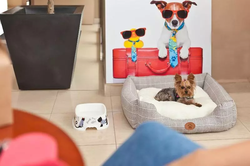 Azuline Hotel Mediterráneo