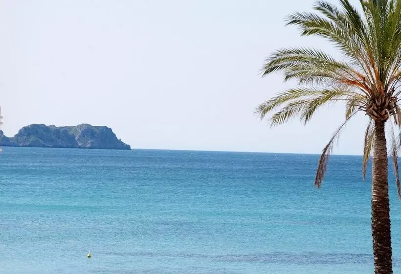 Bq Paguera Boutique Hotel Adults Only