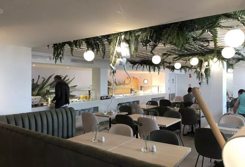 Bq Paguera Boutique Hotel Adults Only