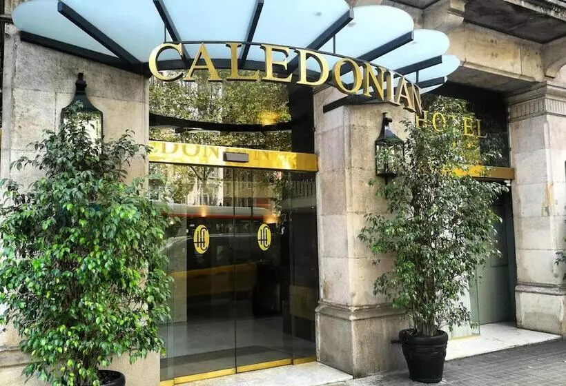 Отель Caledonian