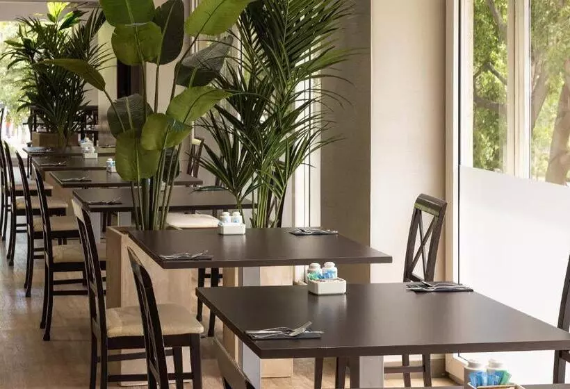 Отель Catalonia Atenas