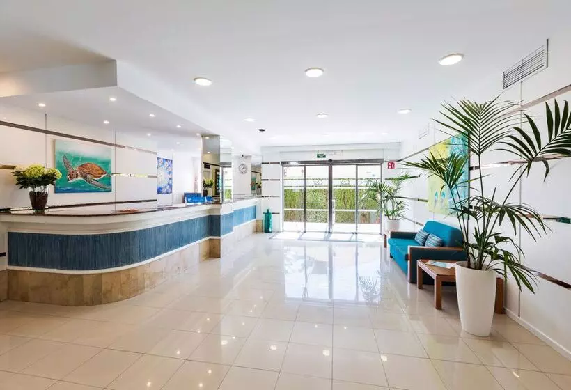 Отель Don Miguel Playa