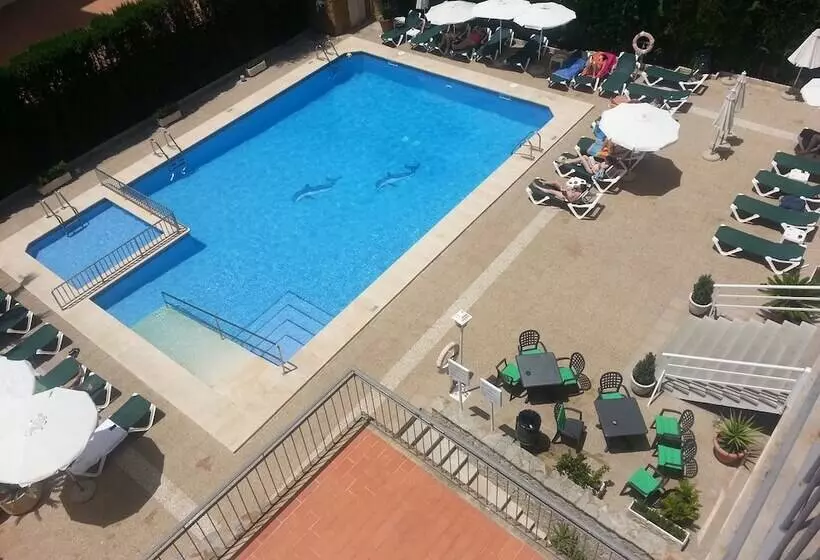 Отель Don Miguel Playa