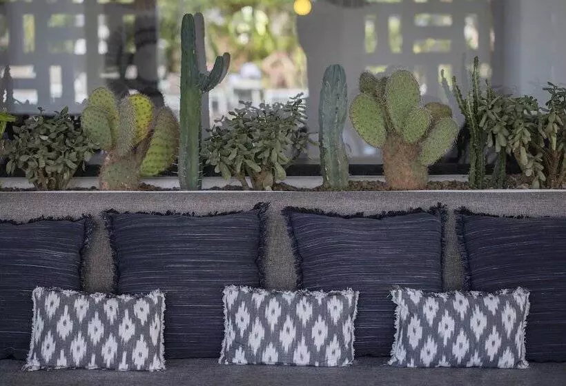 בית מלון כפרי Hm Balanguera Beach - Adults Only