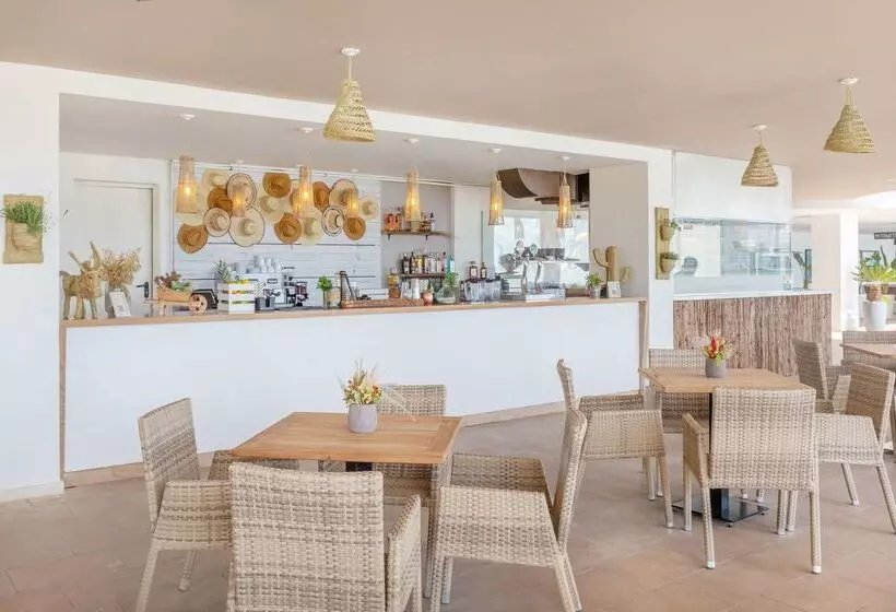 호텔 Sol House Mallorca - Adults Only