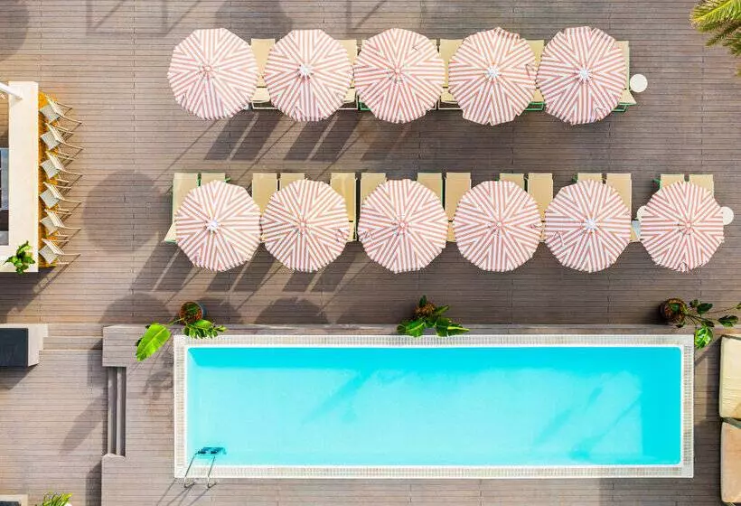 호텔 Sol House Mallorca - Adults Only