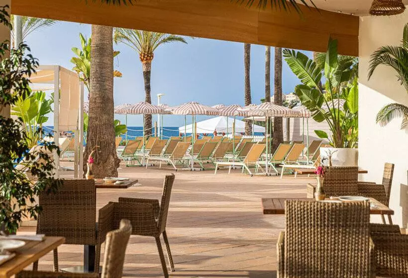 호텔 Sol House Mallorca - Adults Only