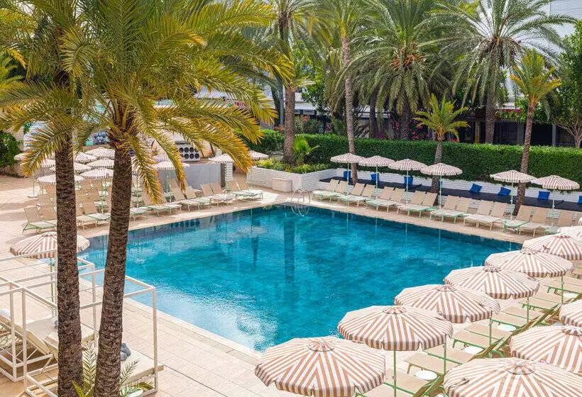 호텔 Sol House Mallorca - Adults Only