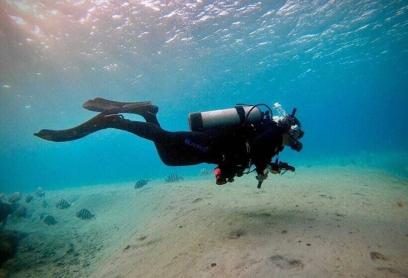 Portodrach Aparthotel & Suites