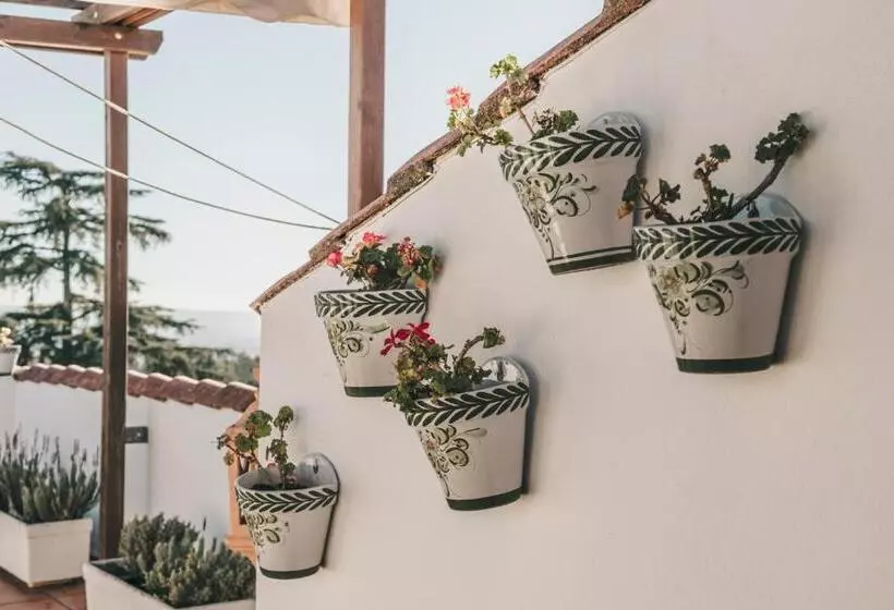 Hotel Crisol Jardines De Córdoba