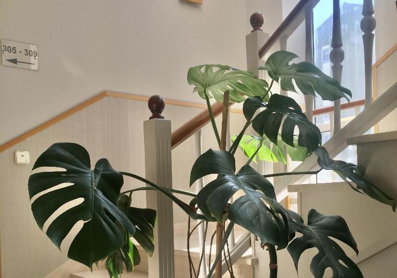 Hotel Crunia I A Coruna